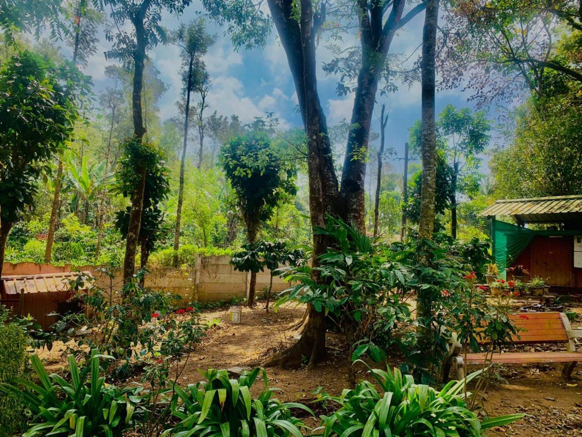 Shrenya Orchidz-Coorg Nature Stay Madikeri Exterior photo